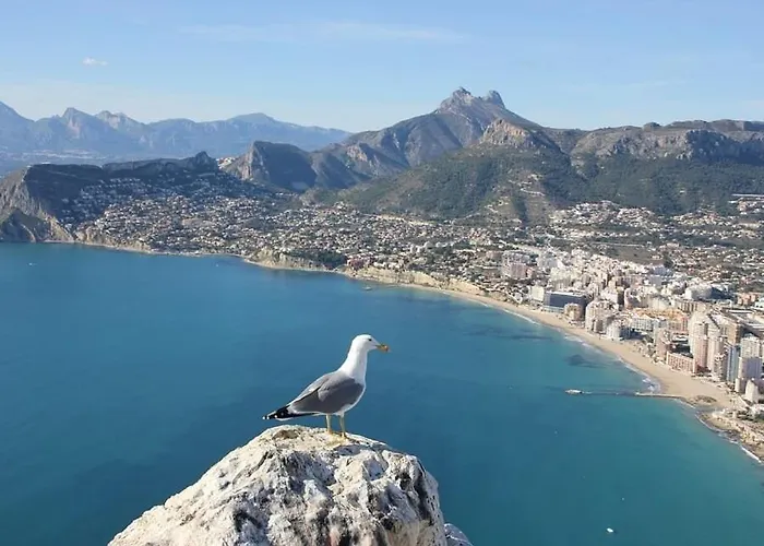 Apartman Arenal 6 - Plusholidays Calpe